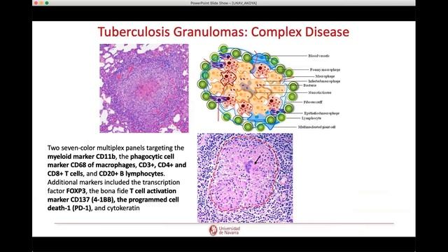European User Group Meeting 2020 Biomarker Research Focus смотреть онлайн