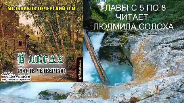 04.02 П. И. Мельников - Печерский "В лесах" (часть 4 главы 5 по 8)