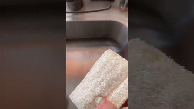 Plastic Sponges Alternatives - A Natural Loofah Sponge смотреть онлайн