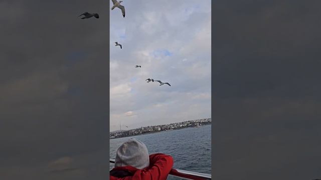 Istanbul смотреть онлайн