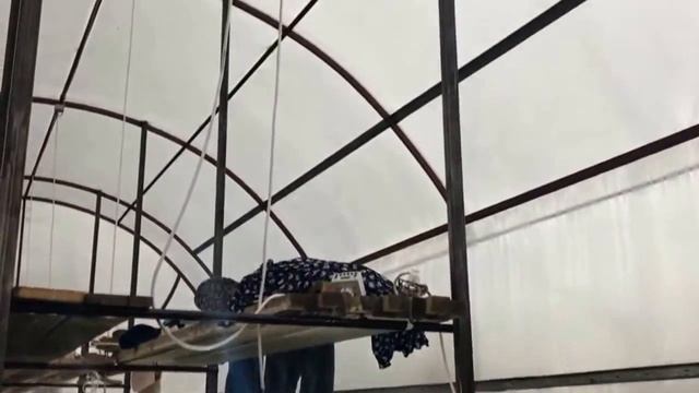 Первые всходы зелени (лук, редиска...) | Теплица из поликарбоната смотреть онлайн