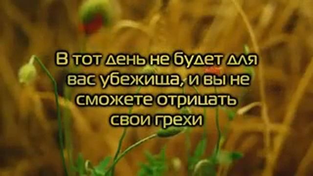 Красивое чтение! Ясир Ад-Даусари. Сура совет