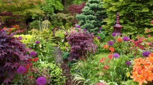 САДЫ ЯПОНИИ НЕВЕРОЯТНЫЙ  ЧАСТНЫЙ  САД Весной в Йокогаме Япония  2021 г