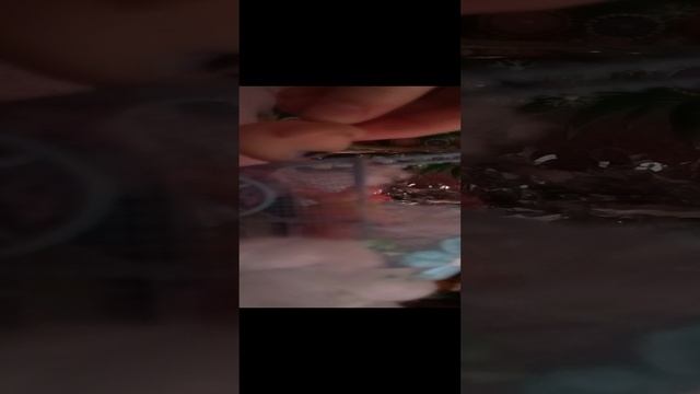 LPS спасают новый год ❗ sos ! 2 серия смотреть онлайн