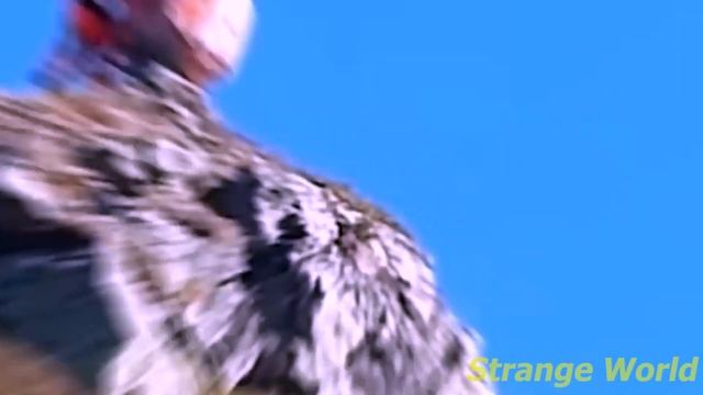 2 Million In The Sea Is The Result Of Spending Rs । Incredible Moments Caught On ৷ Strange World