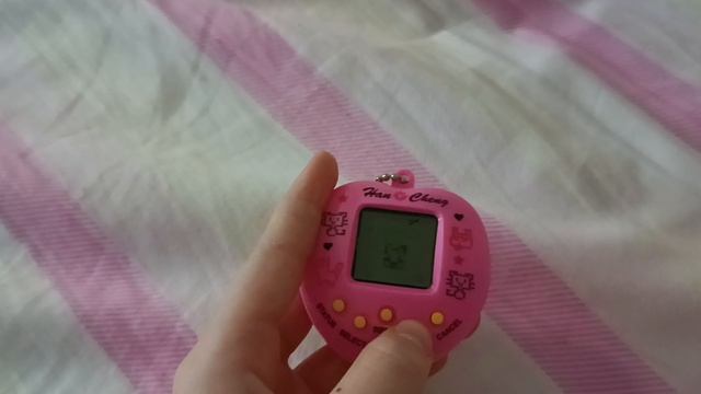 как пользоваться Тамагочи