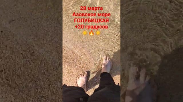 28 марта, а в Голубицкой уже +20 ☀ #голубицкая #темрюк #отпуск #анапа #азовскоеморе #море смотреть онлайн