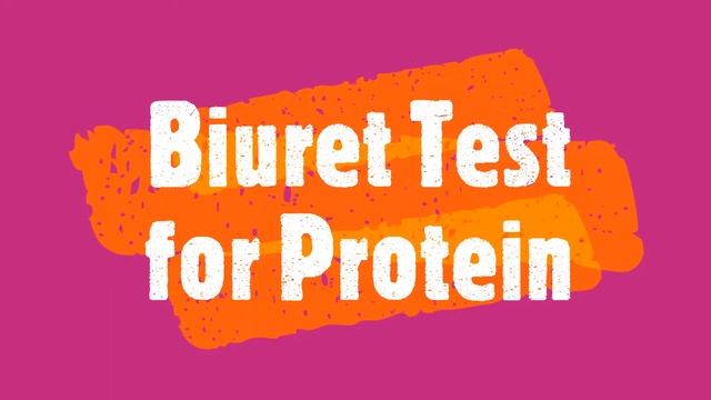 ⌬ Food Lab: Qualitative Analysis for Organic Compounds - Mr Pauller смотреть онлайн
