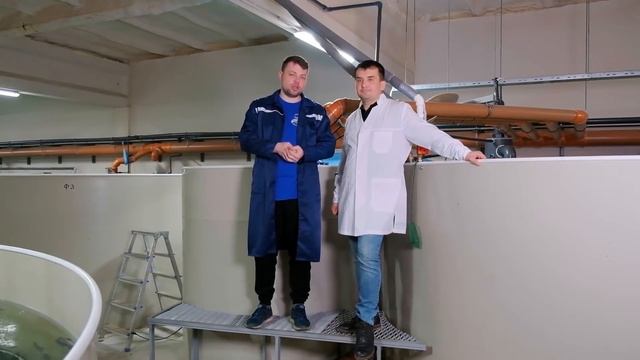 Ферма УЗВ в Тульской области. В гостях у наших клиентов смотреть онлайн