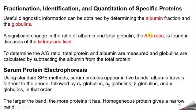 avc Amino Acids Lecture 8 смотреть онлайн