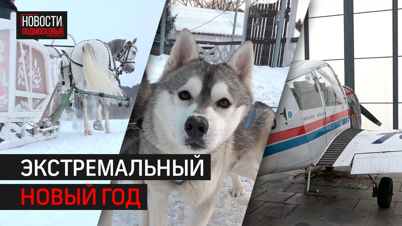 Верхом, в полёте и на земле: самые экстремальные развлечения в Одинцове // 360 Одинцово смотреть онлайн