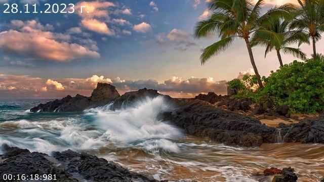 820.1. Истории из жизни 28.11.2023 г. смотреть онлайн