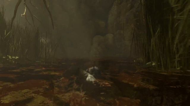 Silent Flutist - Rise of the Tomb Raider - 29 смотреть онлайн
