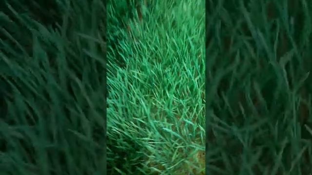 4 марта 2022 г. смотреть онлайн