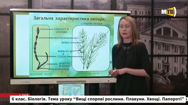 6 клас. Біологія смотреть онлайн