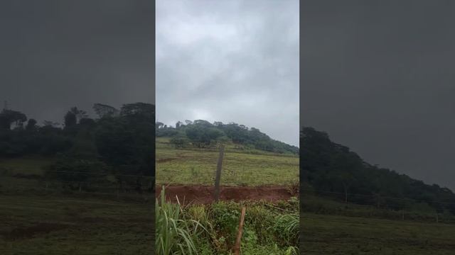 Estamos no eito…tempo tá fechado bom dia meus amigos #top #mato #borabora #roca #agro #vidanaroça смотреть онлайн