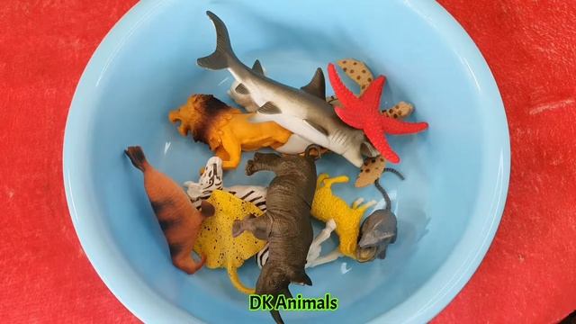 Learn Toys Animals for Kids Lion Zebra Octopus Crab Shark Elephant Pig Camel смотреть онлайн