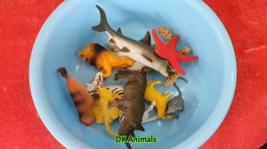 Learn Toys Animals for Kids Lion Zebra Octopus Crab Shark Elephant Pig Camel