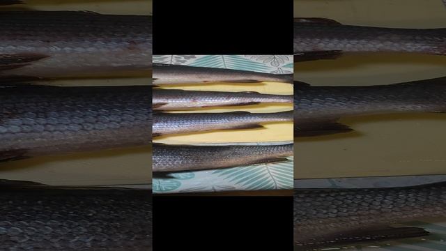 Интинский хариус. Когда сам на севере. И не ждёшь брата... смотреть онлайн