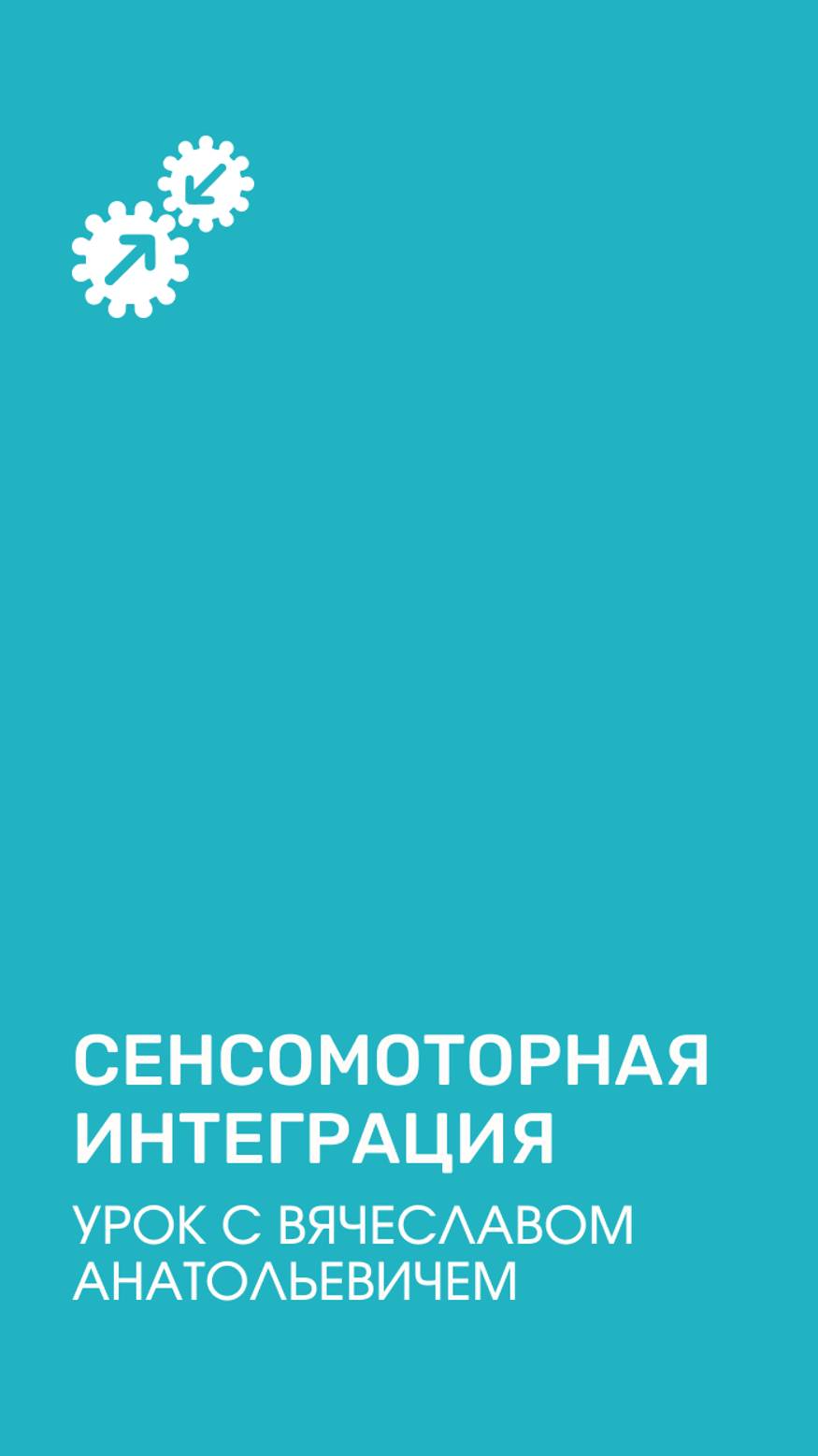 Сенсомоторная интеграция. Урок с Вячеславом Анатольевичем смотреть онлайн