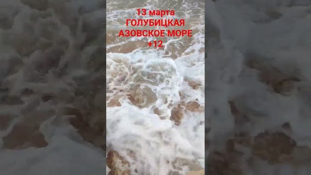 #голубицкая обстановка 13 марта (+12 градусов) #темрюк #азовскоеморе #отпуск смотреть онлайн