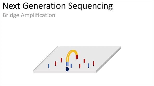 Next Generation Sequencing (Illumina) - An Introduction смотреть онлайн