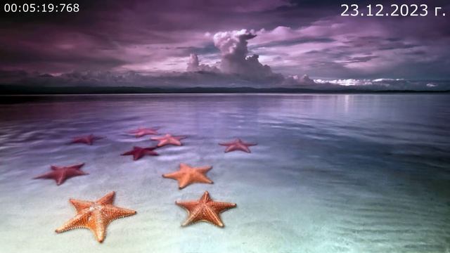 841 Твой мир вокруг 23.12.2023 г смотреть онлайн