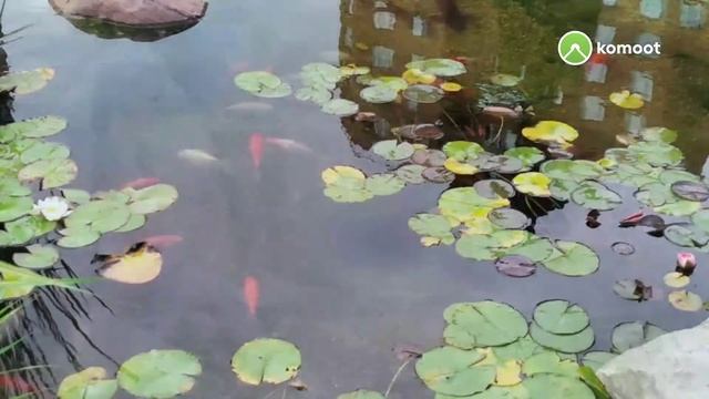 Парус - Зеленоград - Мега #ВелоХимки смотреть онлайн