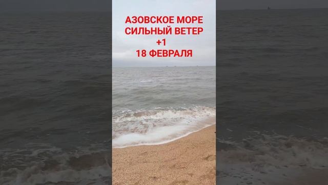 #голубицкая сильный ветер, деревья сносит!!! #анапа #темрюк #азовскоеморе смотреть онлайн