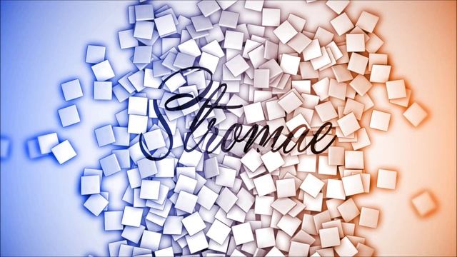 Stromae tile layout animation HD смотреть онлайн