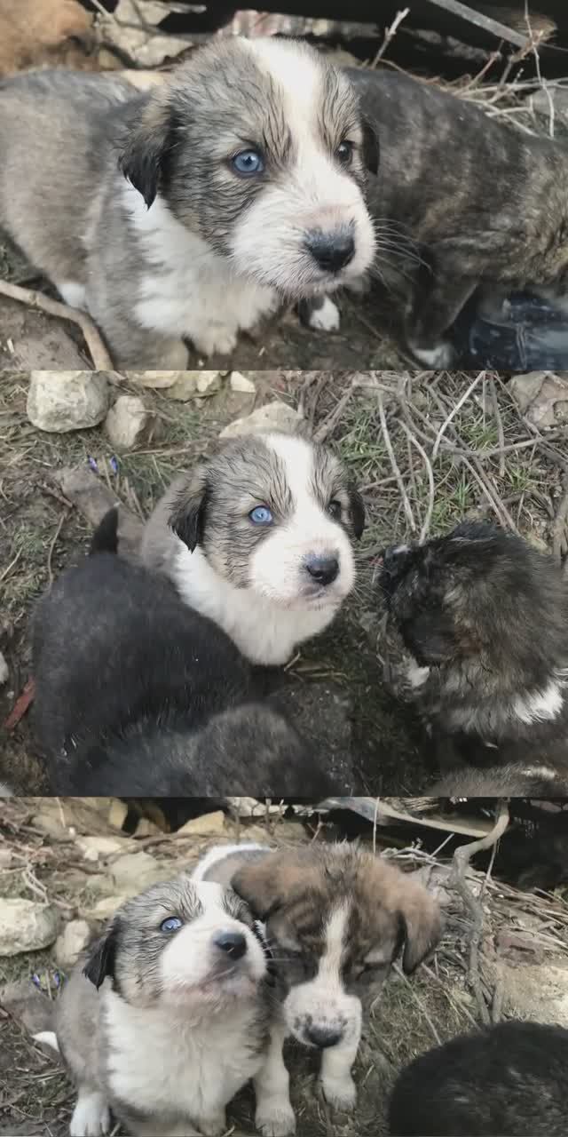 1 февраля 2024 г. #манури1 смотреть онлайн