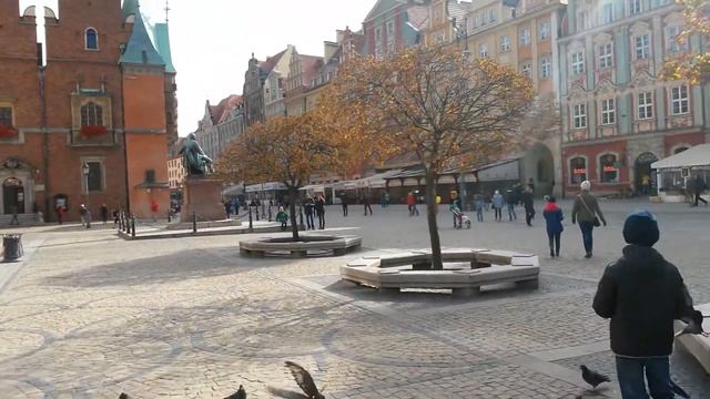 Вроцлав площадь 《Рынек》 смотреть онлайн