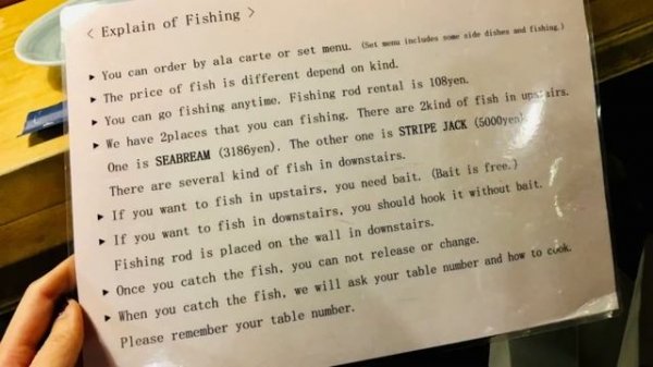 Unique Dining Experience in Tokyo: ZAUO Fishing Restaurant, Shibuya