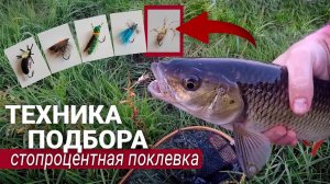 Жуки-Пауки. Техника подбора мушки для результативной рыбалки. Ловля ельцов и голавлей осенью.