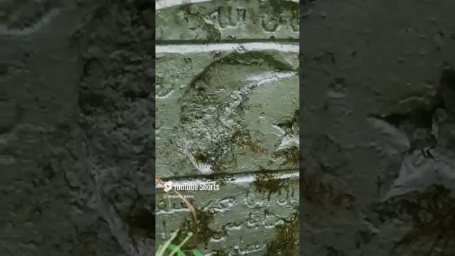 Что я увидел!_ смотреть онлайн