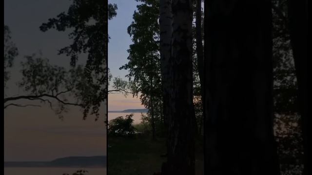 Естетика природи смотреть онлайн