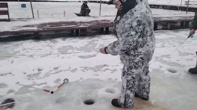 28-12-2024 смотреть онлайн