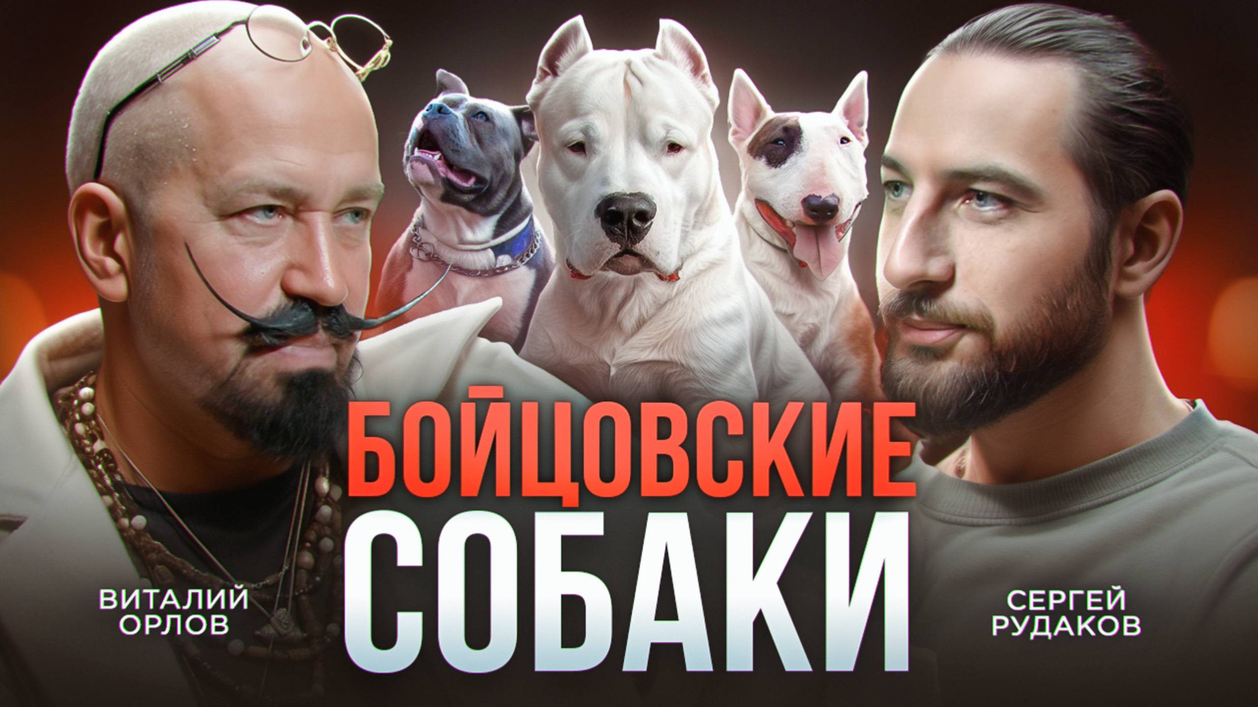 Бойцовские собаки – Мифы и воспитание собак / Кинолог Виталий Орлов смотреть онлайн