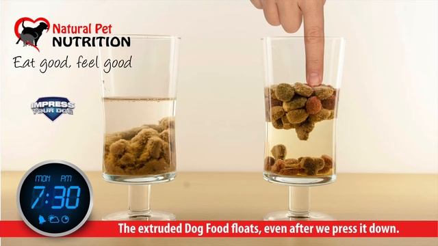 Natural Pet смотреть онлайн