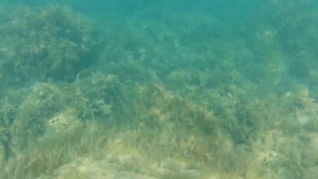 Сукко, Большой Утриш, 67 августа, 6 октября. Прогулка и подводное видео с двух пляжей. смотреть онлайн