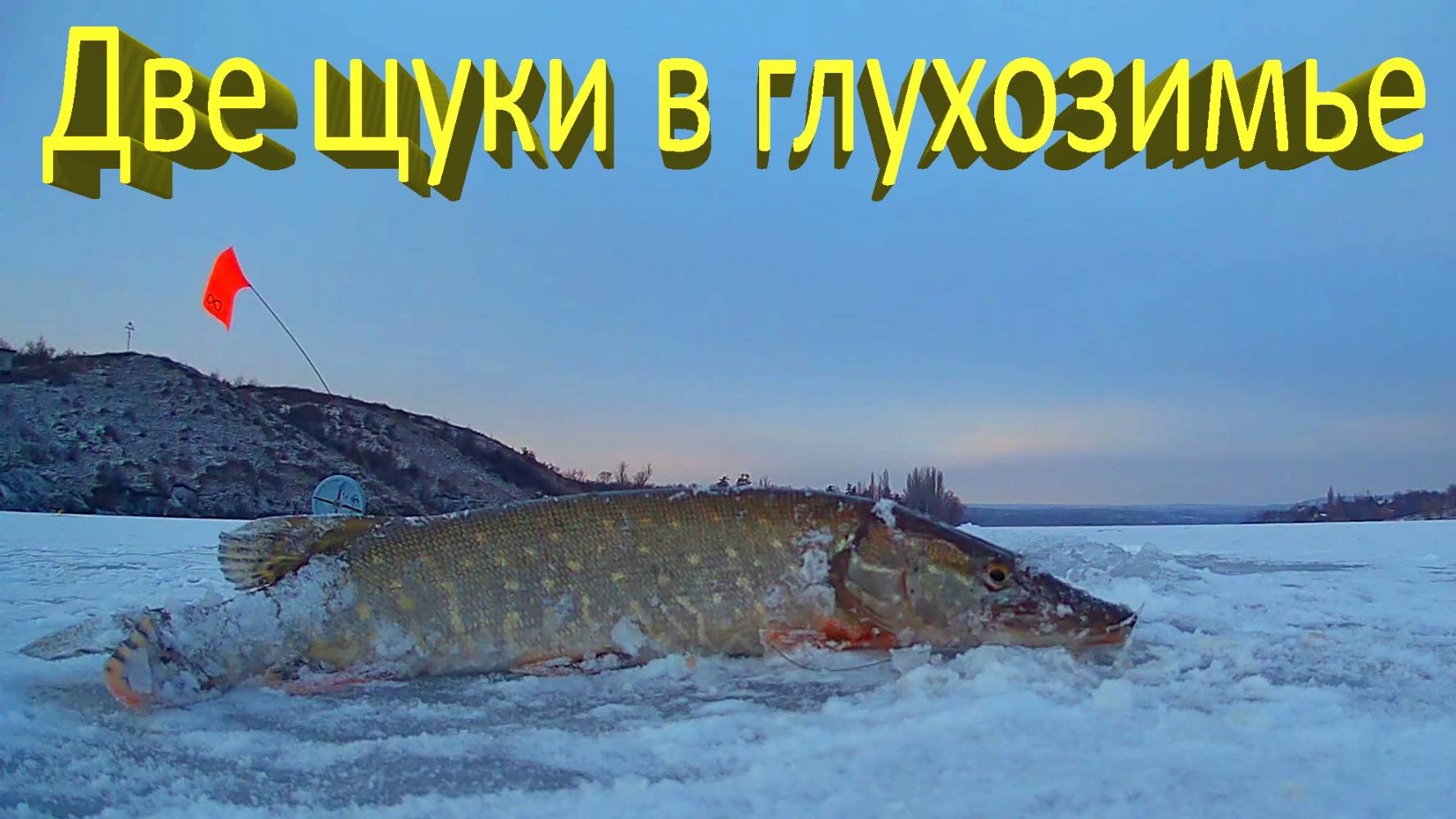 🔥 Как поймать ЩУКУ в январе? Поставил ЖЕРЛИЦЫ на ЯМЕ! Рыбалка на Исаковском водохранилище 🔥