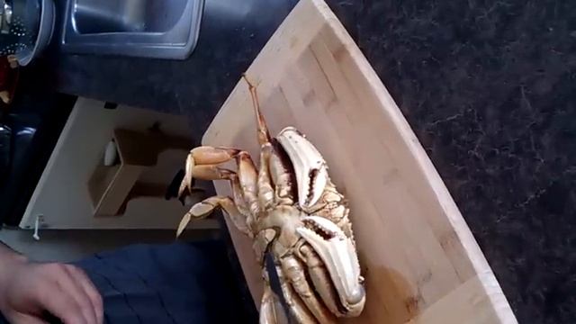 Humane dungeness crab kill смотреть онлайн