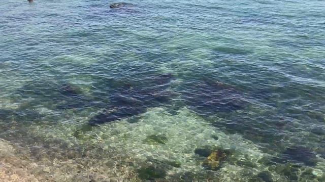 Одесса, море, 1 августа 2024 года .