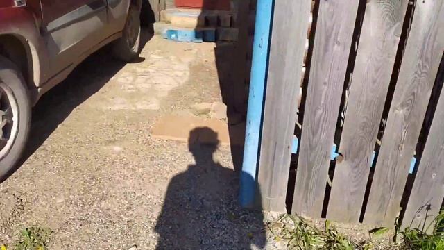 Септик Эргобокс. Первая откачка за 3 года!