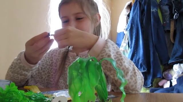 Водоросли для аквариума из Китая смотреть онлайн