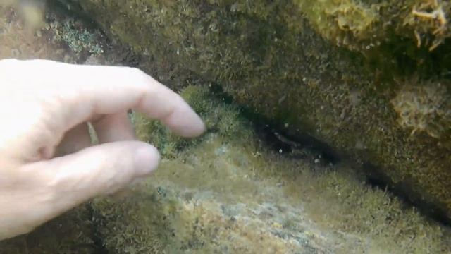 Большой Утриш. Прогулка и подводное видео. смотреть онлайн