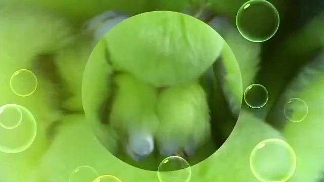 Зайка пушистик