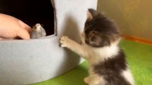 юги и яни обнимаются 🐱🐱🐱😻😻