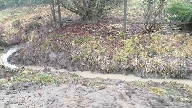 Риппа 319 Rippa R319 2024.
Канава за два часа.