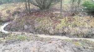 Риппа 319 rippa r319 2024.
Канава за два часа.